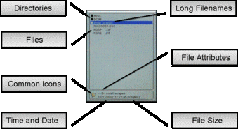 Directory Information